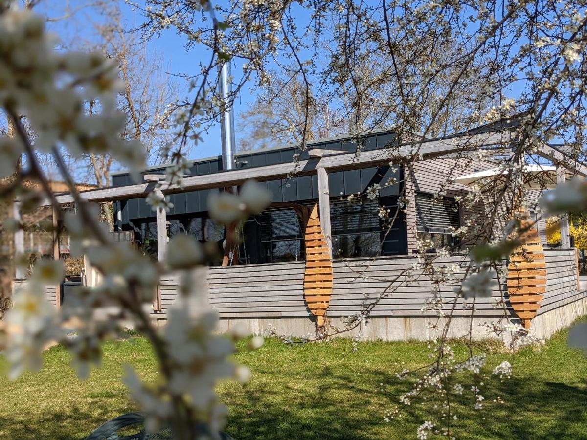 Ferienhaus Naturwerk Schwarzach am Main Exterior foto