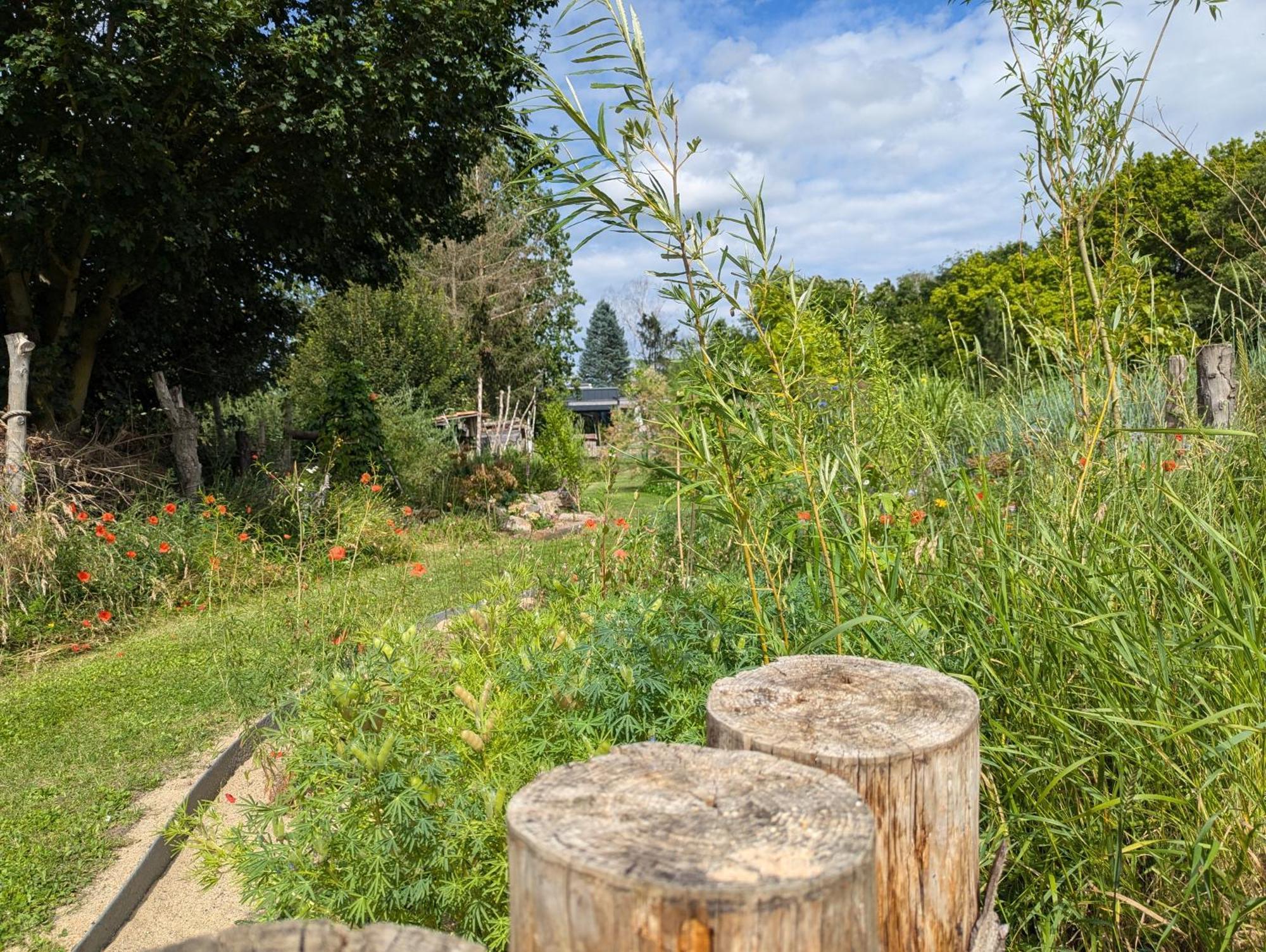 Ferienhaus Naturwerk Schwarzach am Main Exterior foto